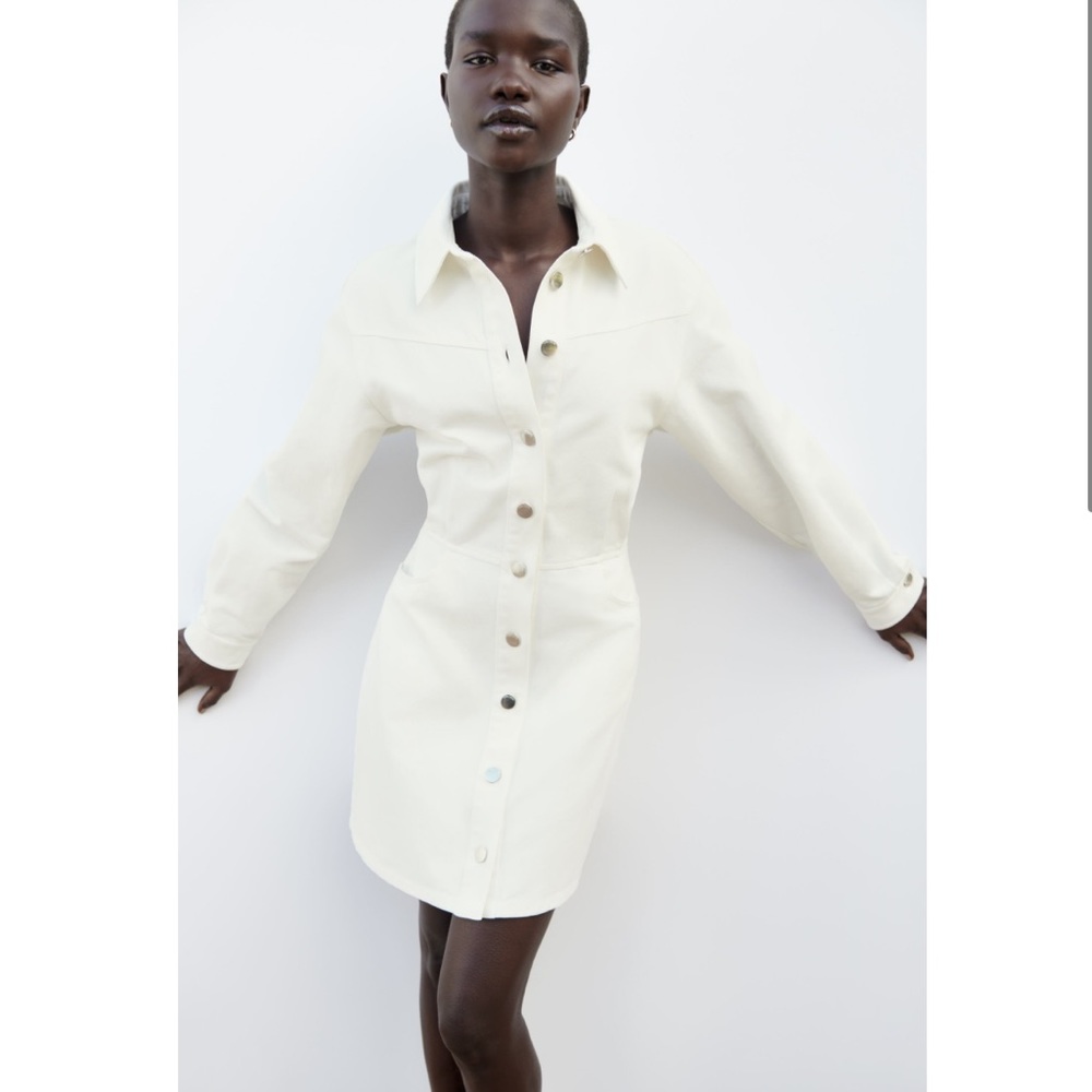 Zara Mini Denim Dress NWT
